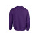 HEAVY BLEND ADULT CREWNECK SWEATSHIRT